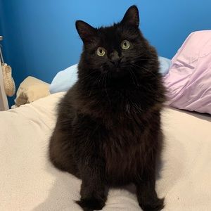 Meet your Posher, Jody